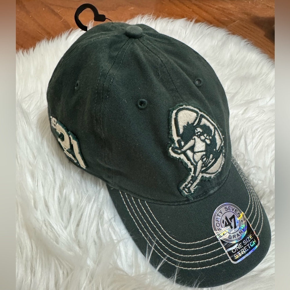 Green Bay Packers NFL '47 Dark Green Stitched Script Logo Ball Cap Hat One Size - Picture 1 of 10